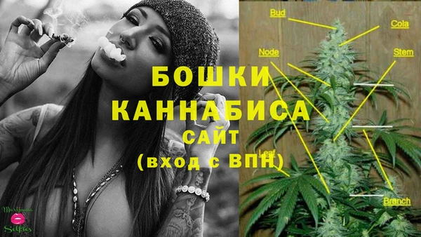 первитин Нягань