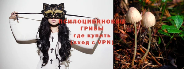apvp Россошь