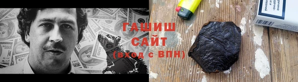 прущие грибы Магадан